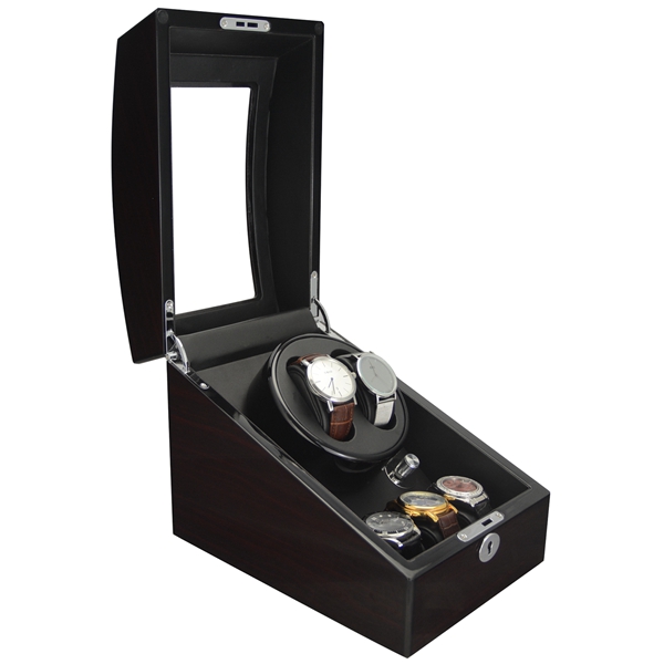 Automatic watch winder